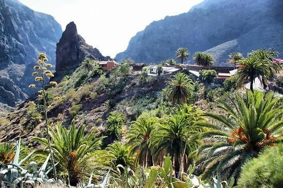 Marody Tenerife House El Médano Appartement